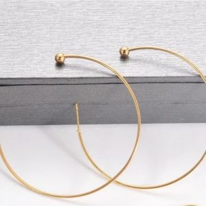 Gold Filled Hoop earrings